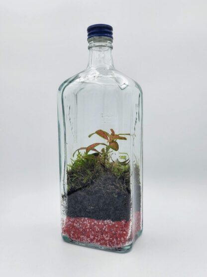 Nejen gin