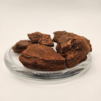 Piniová kůra, velká, 10 ks