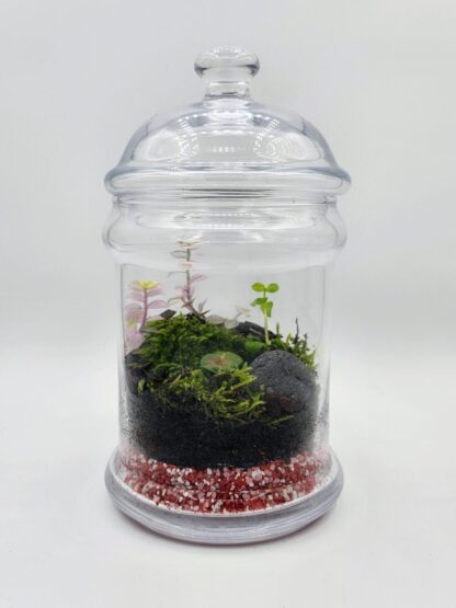 Botanická fantazie