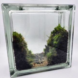 Luxfera I
