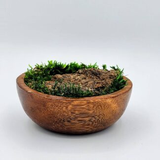 Dřevěné poklady I